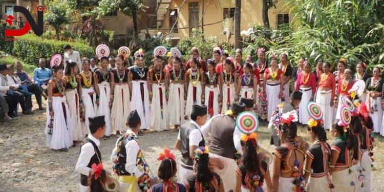 थारू बस्तीमा सख्या पैयाँ नाचको रौनक
