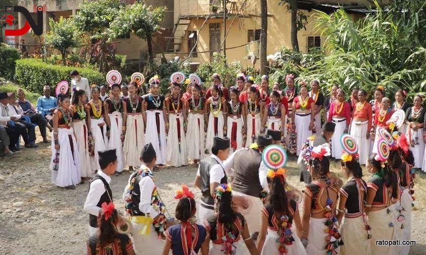 थारू बस्तीमा सख्या पैयाँ नाचको रौनक