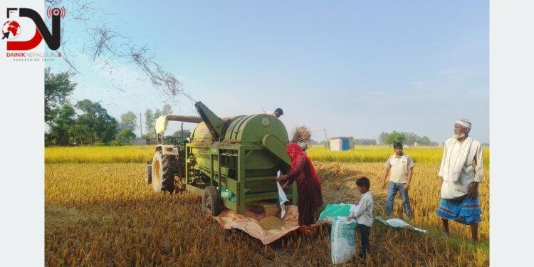‘थ्रेसर मेसिन’सञ्चालन गरेर गाउँमै स्वरोजगार