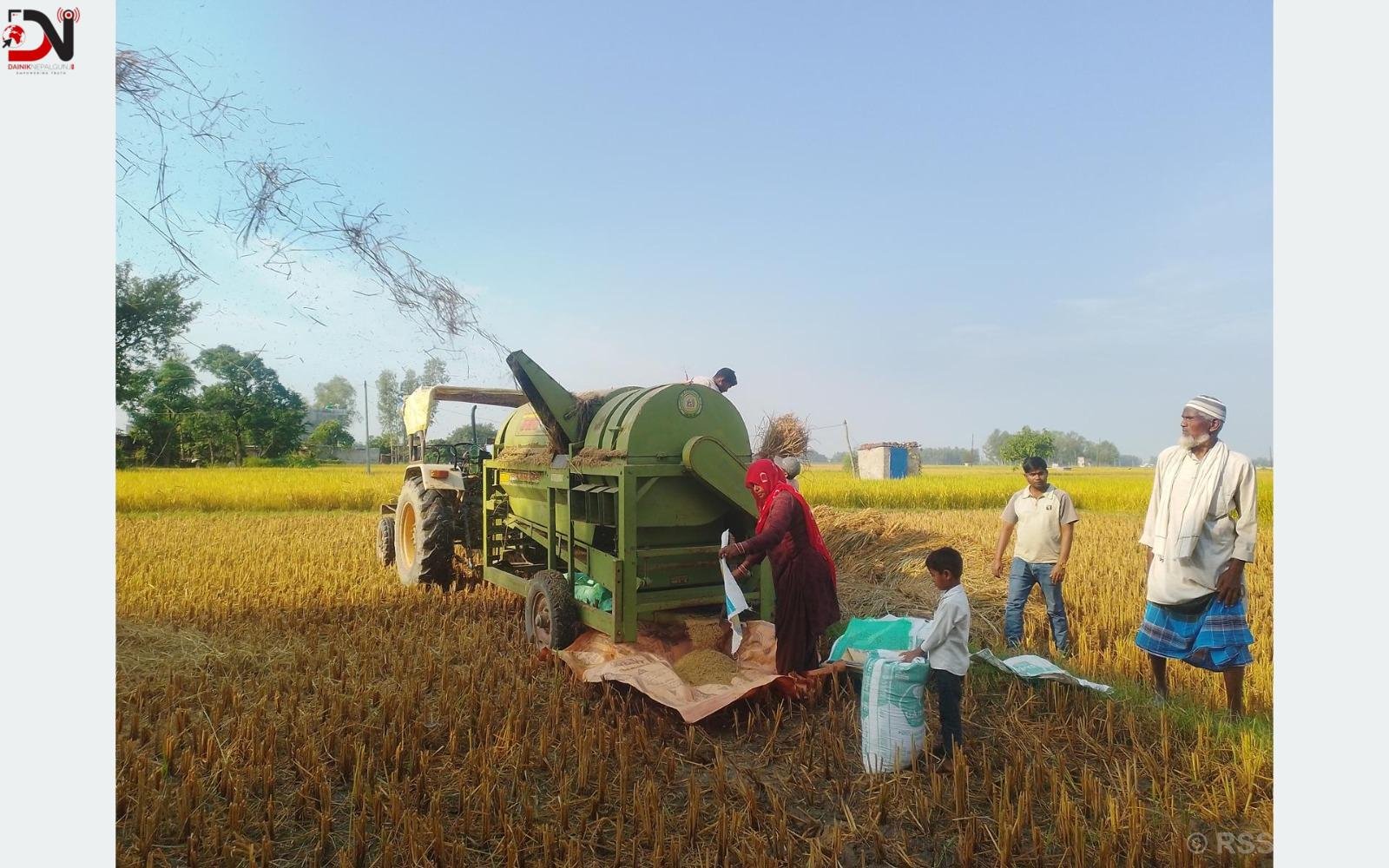 ‘थ्रेसर मेसिन’सञ्चालन गरेर गाउँमै स्वरोजगार