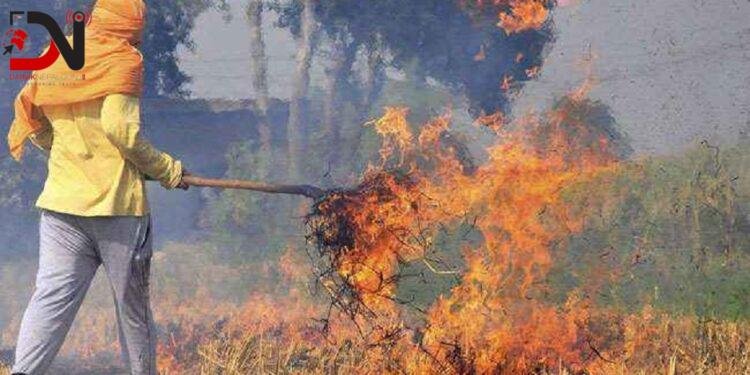 खजुरामा धानको पराल र ठुटा जलाउन प्रतिबन्ध