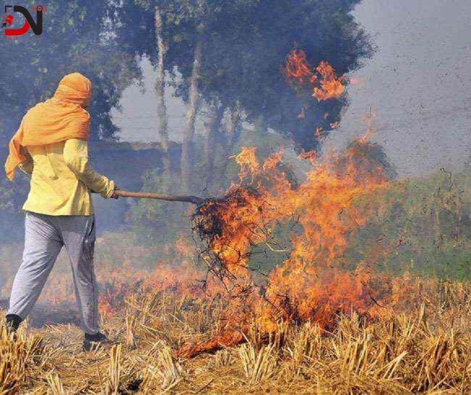 खजुरामा धानको पराल र ठुटा जलाउन प्रतिबन्ध