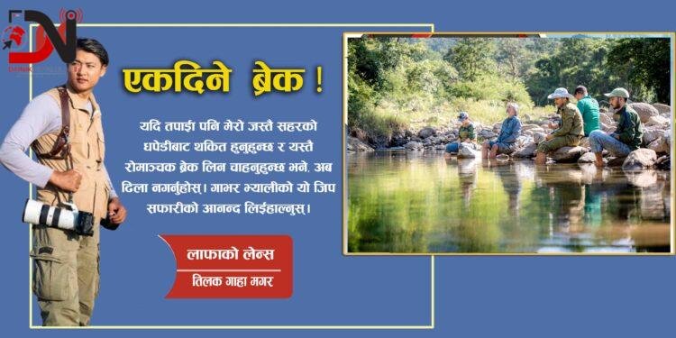 डेस्कको धपेडीबाट चराका सुसेलीसम्म